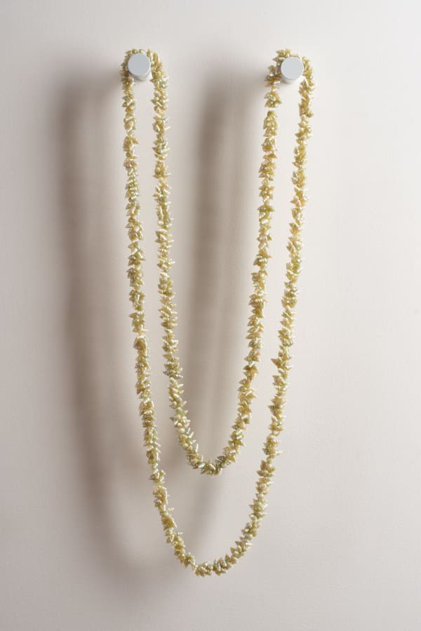 Fiona Green pakana necklace, 2024 blue maireener shells 194 cm (overall length)