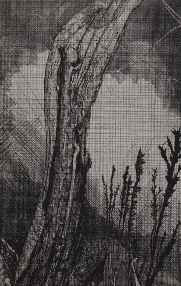 Raymond Arnold Elsewhere World Fragment No 62 4th state, 2019 Etching on Arches 300gsm paper 40 x 30cm Edition of 4