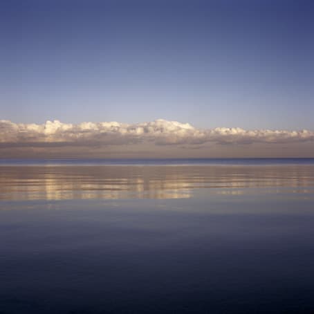 Jane Burton Available Light 2, 2003 Type C photograph 110 x 110cm Edition of 5 plus 1 artist's proof