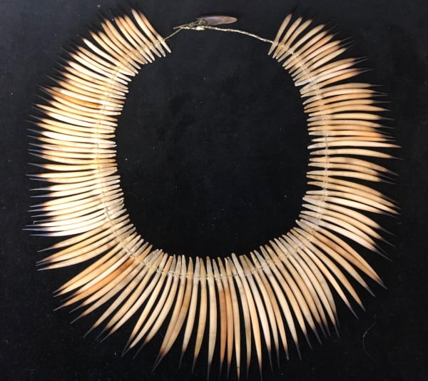 Aunty Jeanette James palawa necklace, 2021 echidna spine needles with woven flax string & claw toggle 51cm