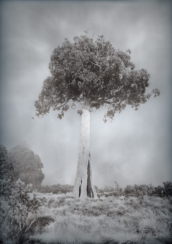 David Stephenson 2021/79 Bronte Lagoon, 2021 archival pigment print on cotton rag paper 101.6 x 76.2cm (paper size) edition of 5