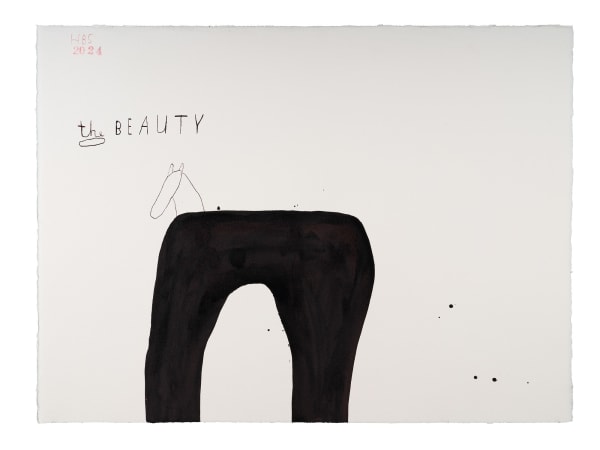 Heather B Swann The beauty, 2024 ink on paper 76 x 102 cm (paper size)