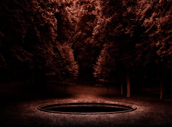 Jane Burton La Bête #6, 2011 pigment print 40 x 50cm