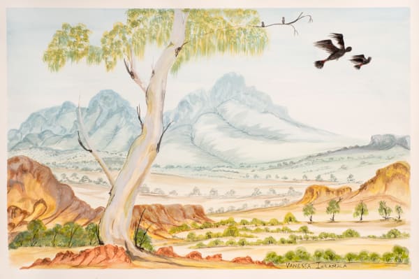Vanessa Inkamala Black Cockatoos 1, 2021 watercolour on paper 32 x 51cm