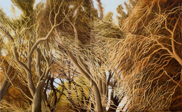 David Keeling Summer detail - Narawntapu, 2008-2010 Oil on linen, unframed Diptych: 81.5h x 133w cm (overall, stretcher size)