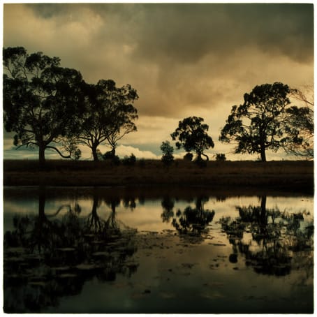 Jane Burton, The Other Side 5, 2002