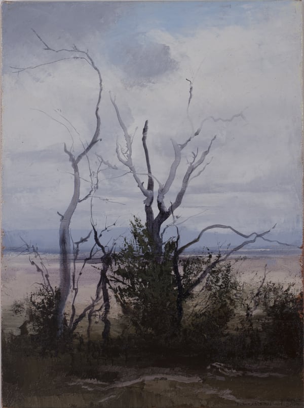 Philip Wolfhagen Remnants no.1, 2017 oil & beeswax on linen 62 x 46 cm