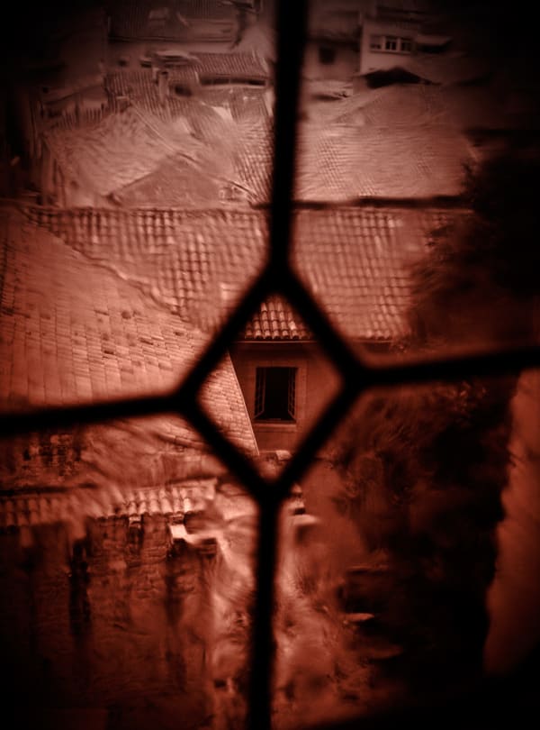 Jane Burton La Bête #8, 2011 pigment print 50 x 40cm Edition of 5 plus 1 artist's proof