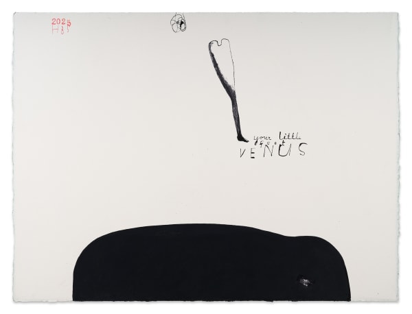 Heather B Swann Your little foot, Venus, 2025 ink on paper 77 x 102.5 cm (paper size)