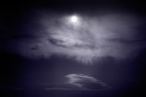 Jane Burton Limbo #11, 2011 pigment print 40 x 60cm