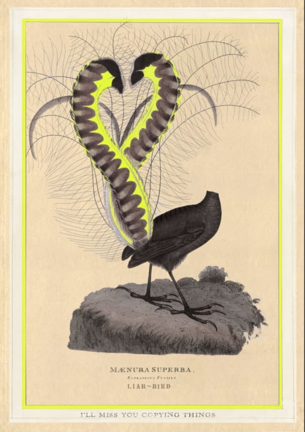 Joan Ross, I will miss you copying things, 2018