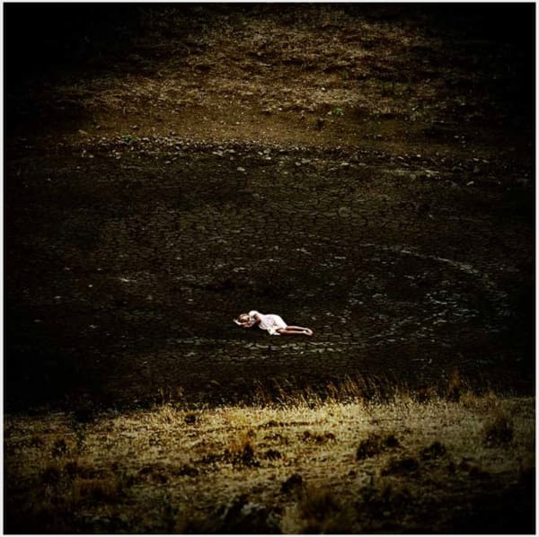 Jane Burton, Motherland 7, 2008