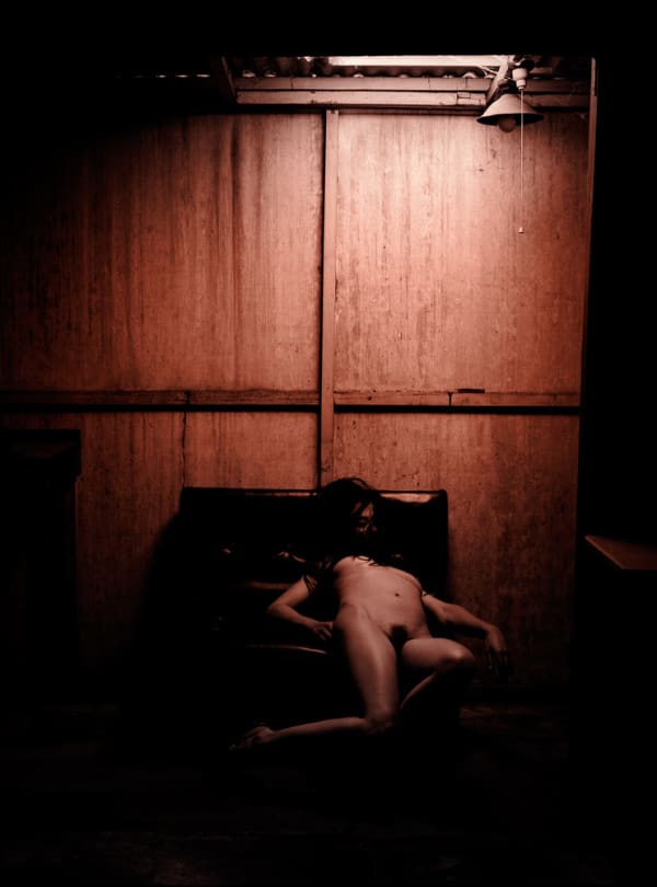 Jane Burton La Bête #2, 2011 pigment print 50 x 40cm