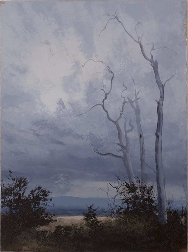 Philip Wolfhagen Remnants no.2, 2017 oil & beeswax on linen 62 x 46 cm