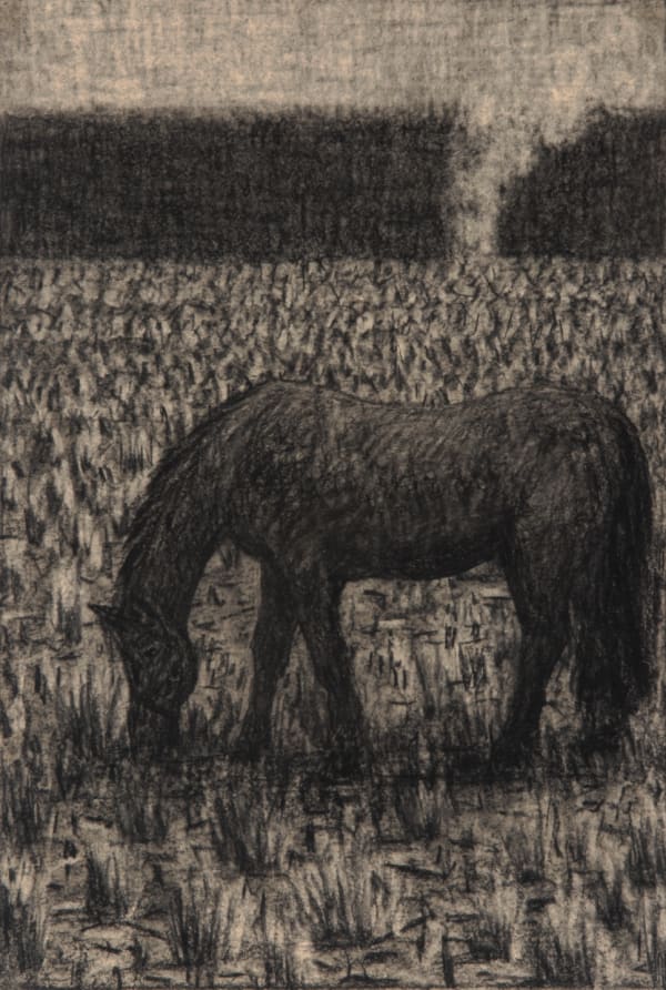 Richard Wastell Horse and Smoke, 2014 charcoal on paper 56 x 38cm (paper size)