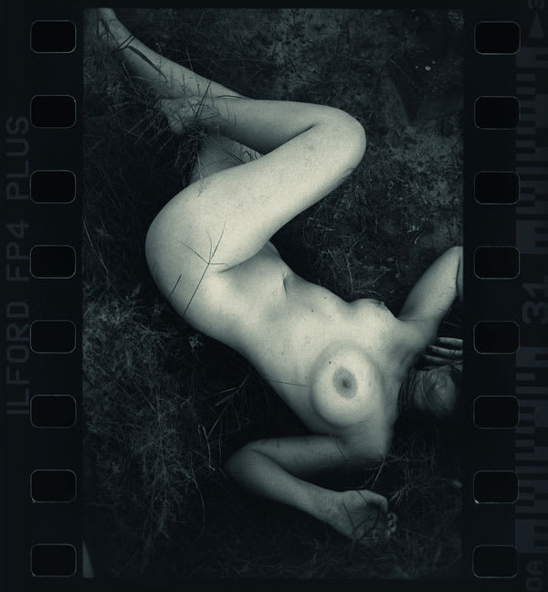 Jane Burton, It is Midnight, Dr._ _, image 7, 2016