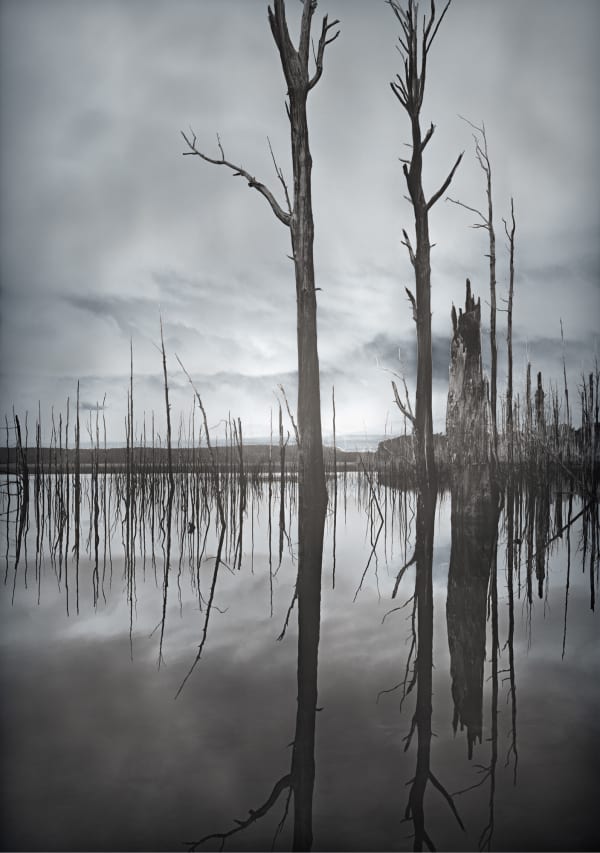 David Stephenson 2021/43 Lake Echo, 2021 archival pigment print on cotton rag paper 132.1 x 101.6cm (paper size) edition of 3
