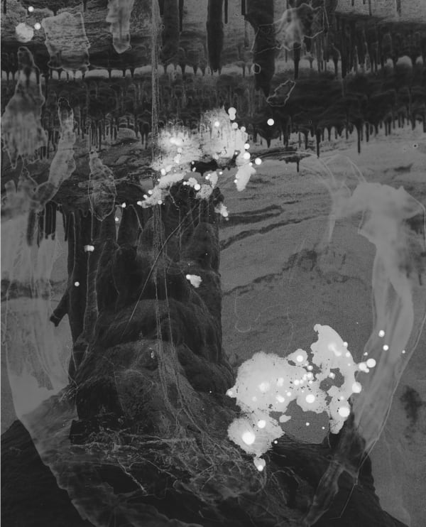 Sarah Rhodes Chamber of projection I: from the series Intimate immensity (after Bachelard), 2025 gelatin silver print, framed 123 x 112 cm (framed size) unique state