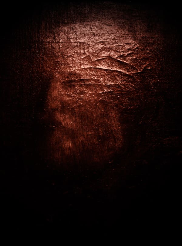 Jane Burton La Bête #9, 2011 pigment print 50 x 40cm Edition of 5 plus 1 artist's proof