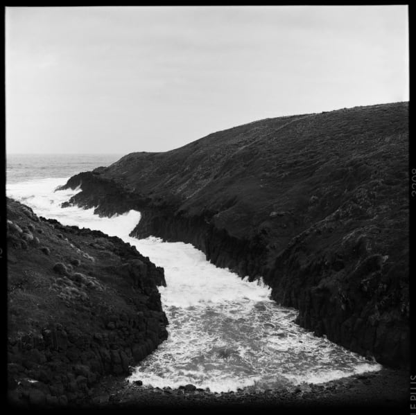 Jane Burton, Cul-de-Sac 6, 2000