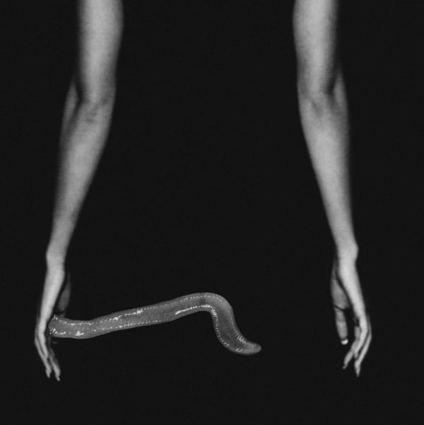 Pat Brassington Keepsake, 2020 pigment print 75 x 75cm Edition of 6 plus 2 artist's proofs