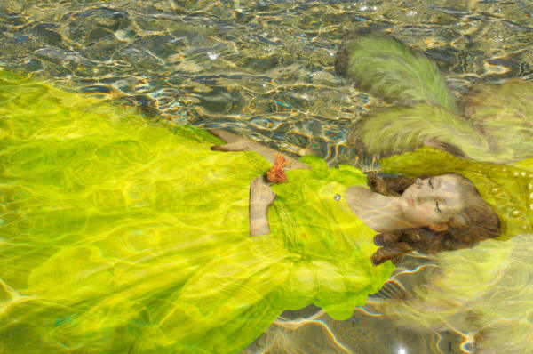 joan ross, I held the lily underwater til it stopped breathing, 2016