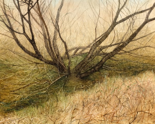 Nicholas Blowers Winter Willow II, 2011 oil on canvas, unframed 120h x 150w cm (stretcher size)