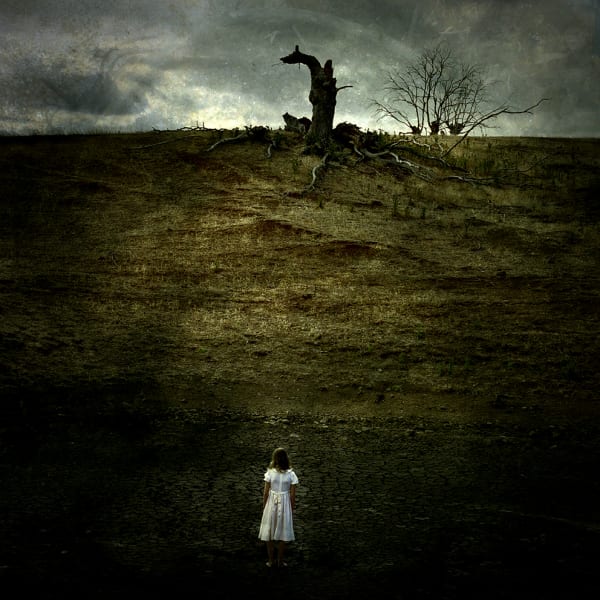 Jane Burton Motherland #8, 2008 Type C photograph 75 x 75cm Edition of 5