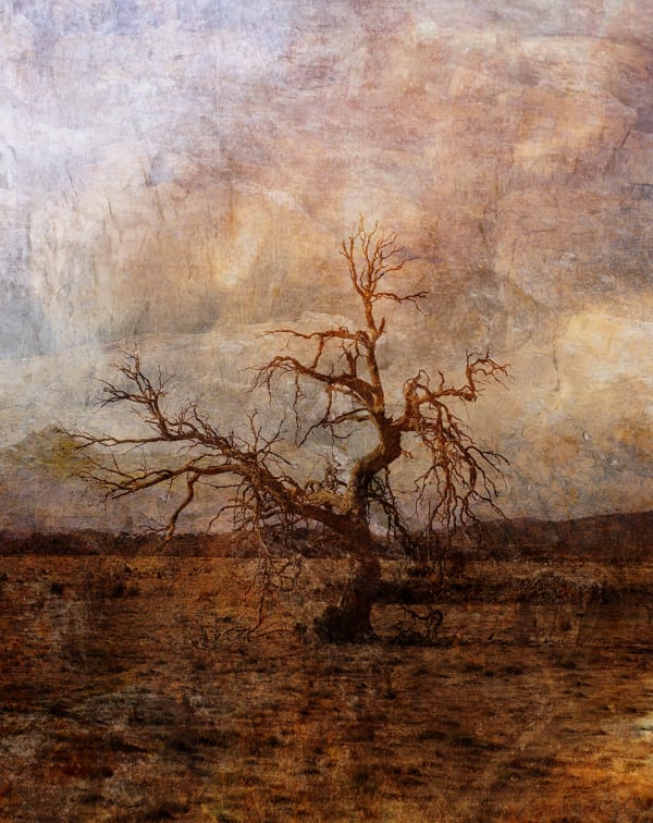 Troy Ruffels, Weathering, 2021