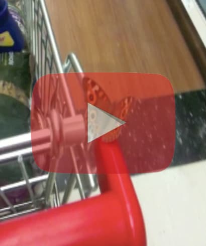 Joan Ross Shopping with the butterfly, 2013 digital animation 58 sec
