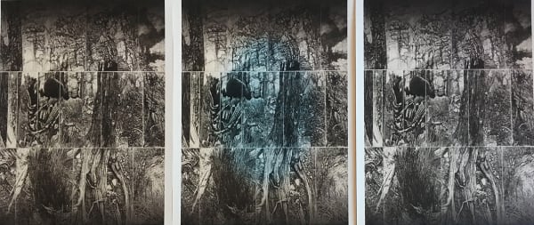 Raymond Arnold Land Sprite, 2017 transitional image on 300gsm Velin Arches, unframed 60 x 126 cm