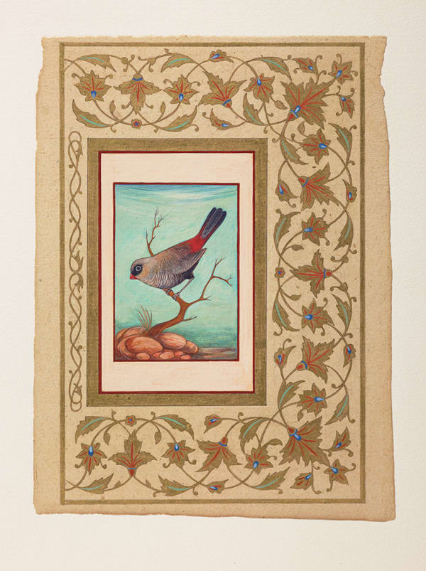 Sue Lovegrove Beautiful Firetail, Stagonopleura bella, 2015 watercolour, gouache, ink, traditional pigments and 23 carat shell gold on old Indian manuscript paper, framed 21 x 15 cm approx
