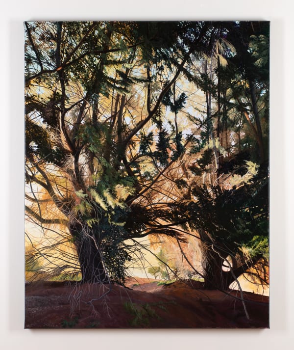 David Keeling The bay 5pm, Autumn light, 2020 oil on linen 153 x 122 cm (stretcher size)