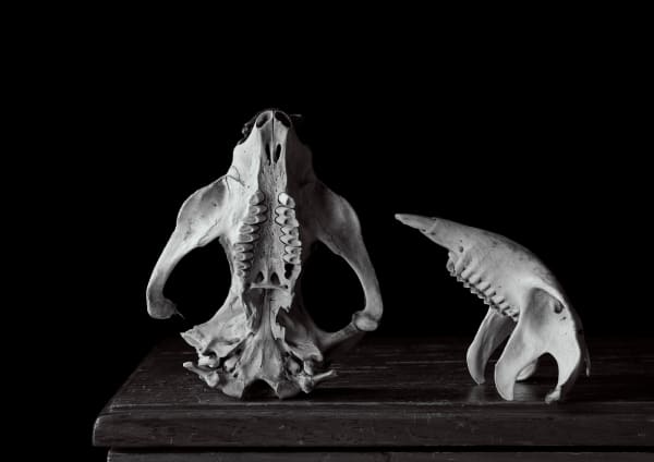 David Stephenson Highland Lakes Rd 2, 2022 pigment ink print 29.7 x 42 cm edition of 5 plus 1 artist's proof