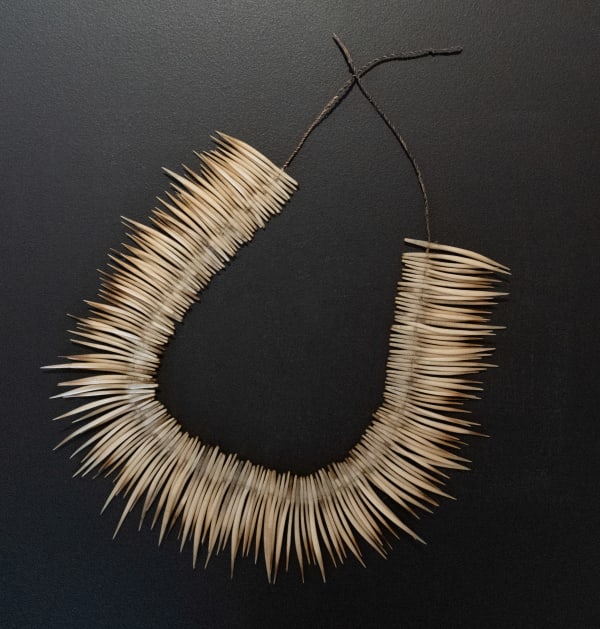 Tracy Purdon pakana necklace, 2024 echidna quills with river reed string 64 cm (overall length) 6 cm (average quill length)