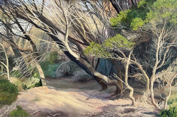David Keeling Away from the wind, Narawntapu, 2025 oil on board, framed 27.5 x 41.5 cm (framed size)