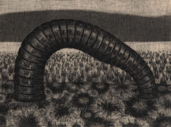 Richard Wastell Leach, 2014 charcoal on paper 56 x 76cm (paper size)