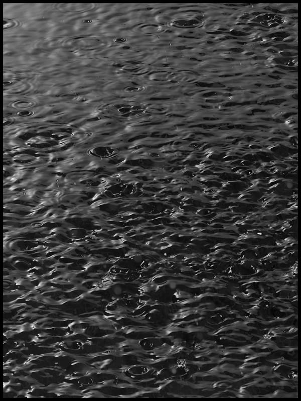 Peter Whyte ...and then it rained 060, 2014 pigment print 131 x 98cm