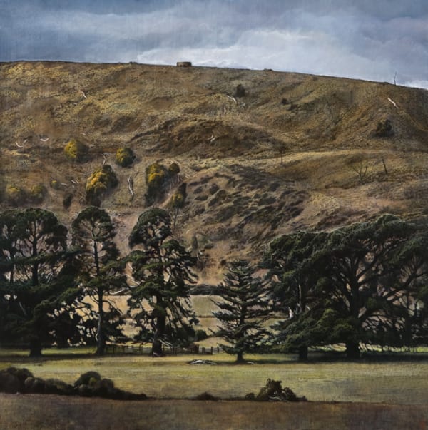 Stephanie Tabram Water Tank Hill, 2015 acrylic on linen 112 x 112cm