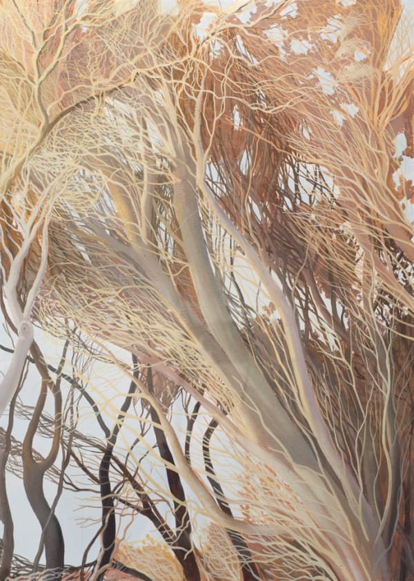 David Keeling Narawntapu, 2010 Acrylic & gouache on paper, framed 105h x 75w cm (sheet size)