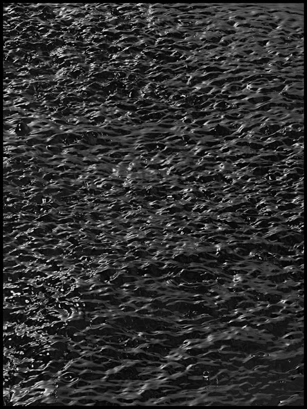 Peter Whyte ...and then it rained 018, 2014 pigment print 131 x 98cm