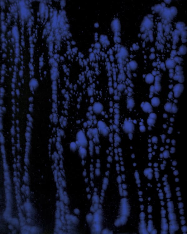 Sara Maher Breath, 2012 ink & pigment on paper, framed 139 x 110cm (paper size)