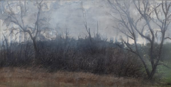 Nicholas Blowers Copse, New Norfolk, 2013 oil on canvas, framed 23 x 42.5 cm overall