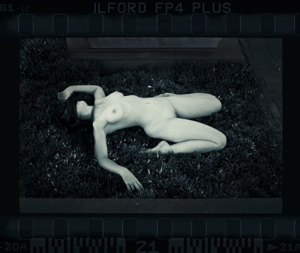 Jane Burton, It is Midnight, Dr._ _, image 2, 2016