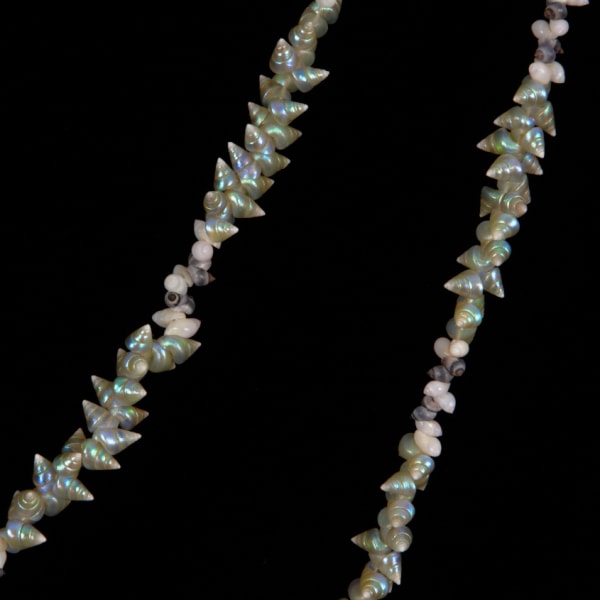 Aunti Corrie Fullard (b.1931-) Palawa Shell Necklace, 2014 String sequence: 20 mariner, 2 toothie, 2 gull, 2 toothie, 2 gull and 2 toothie shells 188cm