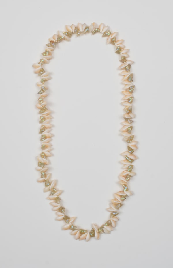 Aunty Lola Greeno pakana necklace, 2023 maireener and gull shells 71 cm (approx overall length)