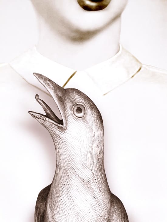 Pat Brassington, Duette, 2016