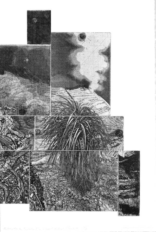 Raymond Arnold Elsewhere World – Consolidated H, 2019 etching on 300gsm Velin Arches 80 x 53cm Edition of 4