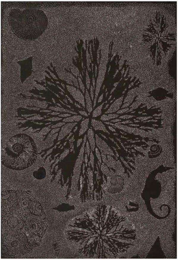 Helen Wright Seaweed Collection, 2011 Woodcut on paper 76h x 56.5w cm (sheet size) edition of 6 plus 2 artist's proofs