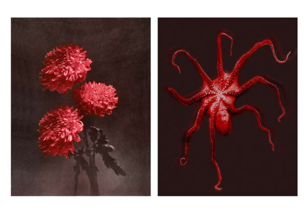 Pat Brassington Plain song, 2018 pigment print diptych: 80 x 62 cm (each image) Edition of 8 plus 2 artist's proofs